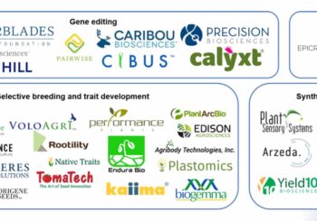 Companies that edit crop genes